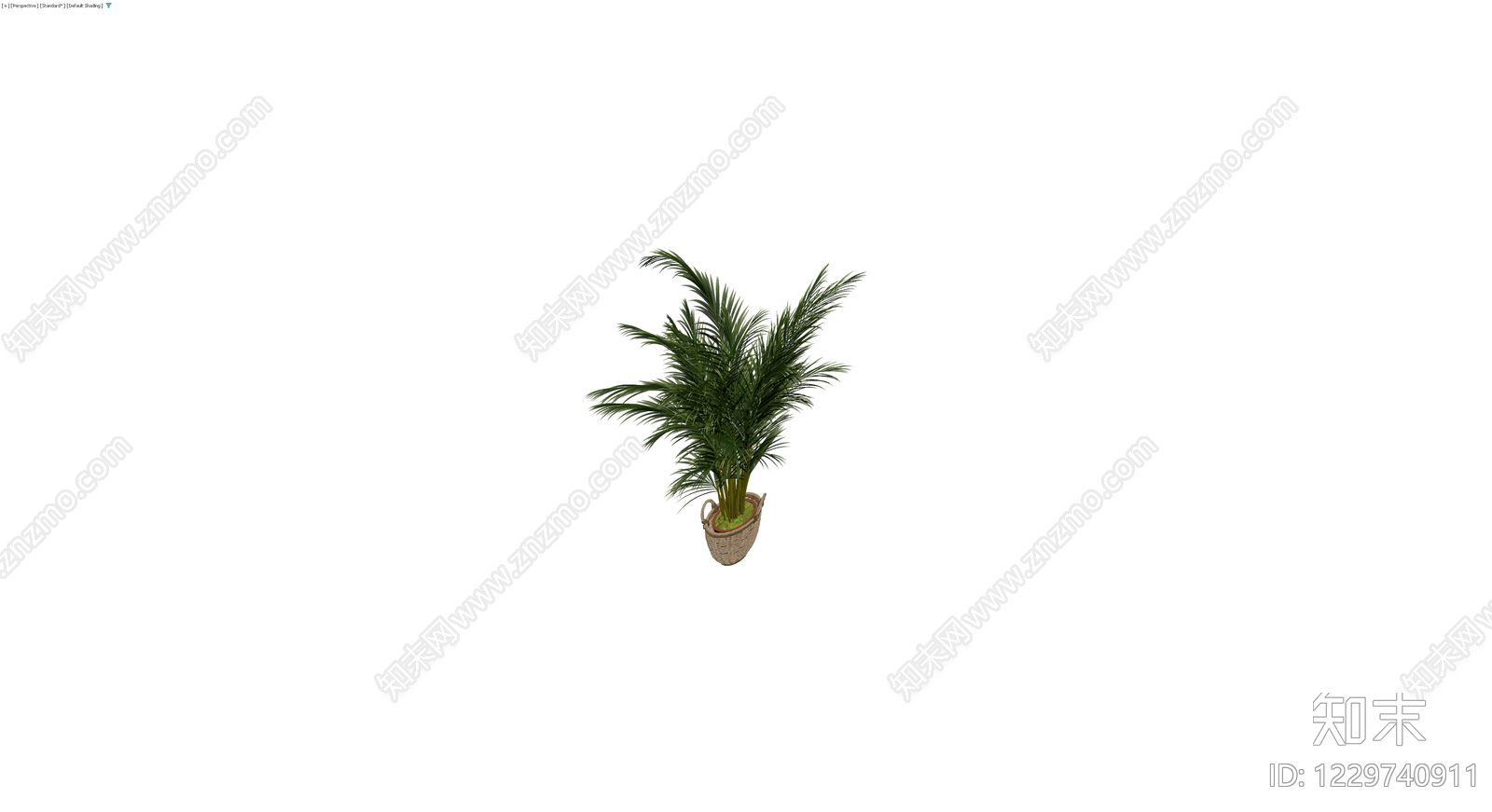 盆栽散尾葵植物3D模型下载【ID:1229740911】