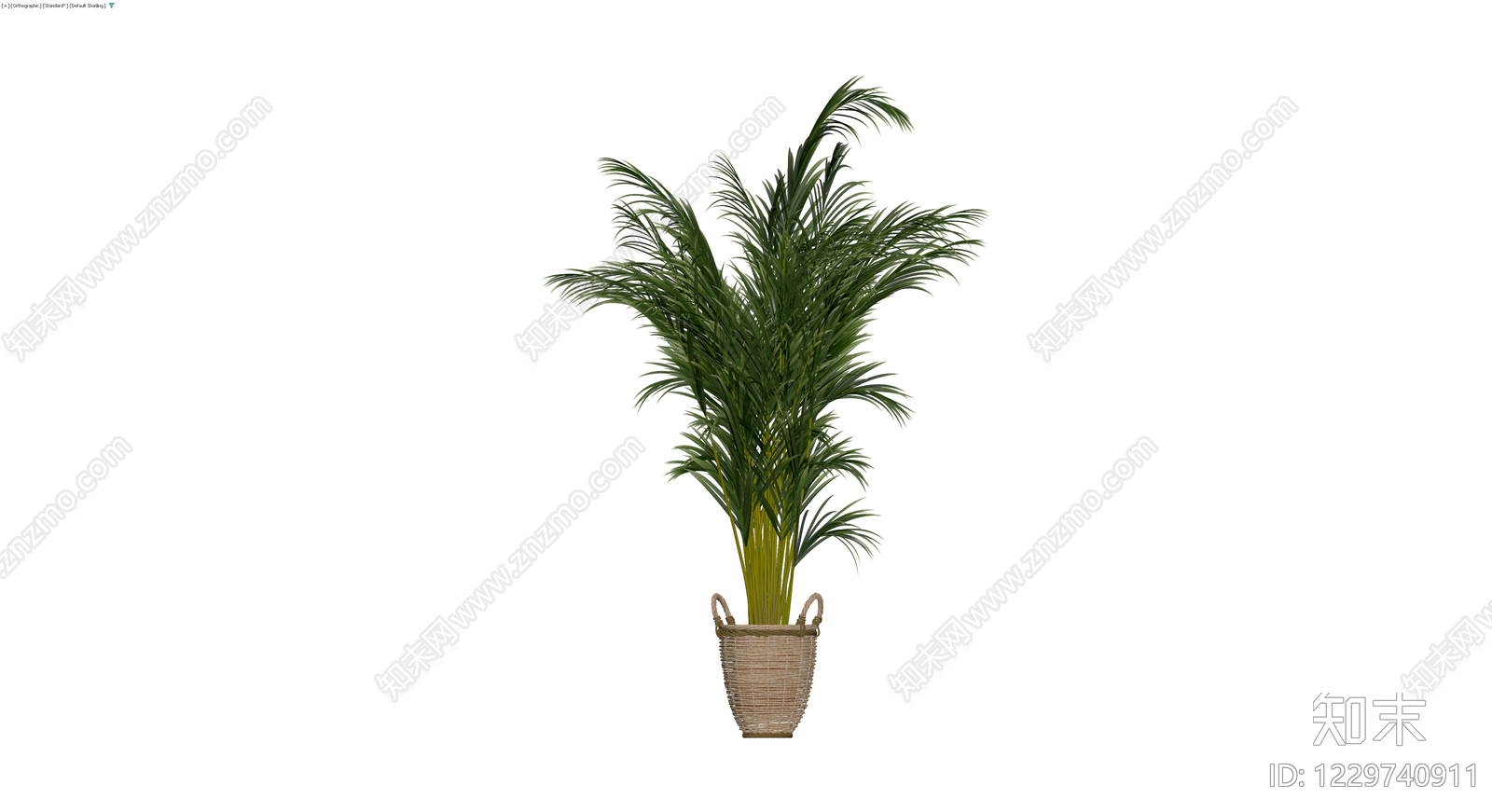 盆栽散尾葵植物3D模型下载【ID:1229740911】