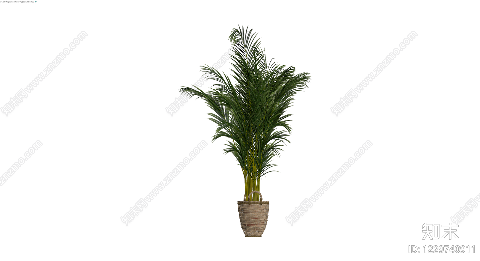 盆栽散尾葵植物3D模型下载【ID:1229740911】