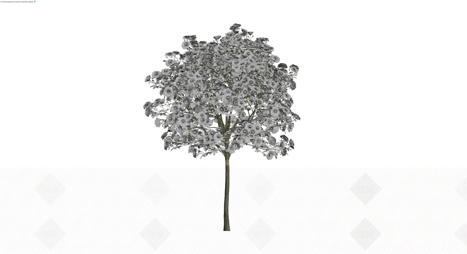 白玫瑰景观乔木模型3D模型下载【ID:1229852295】