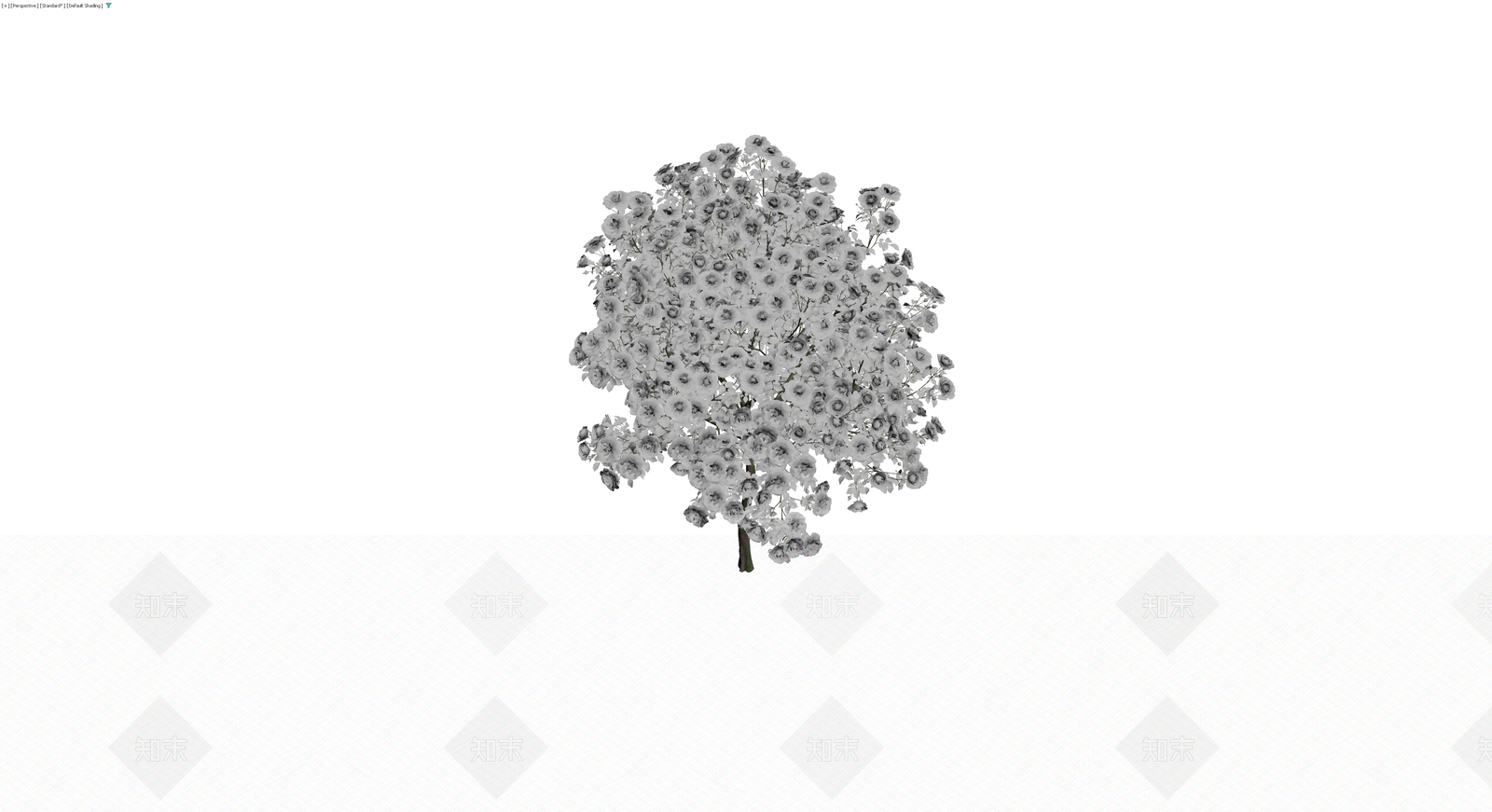 白玫瑰景观乔木模型3D模型下载【ID:1229852295】