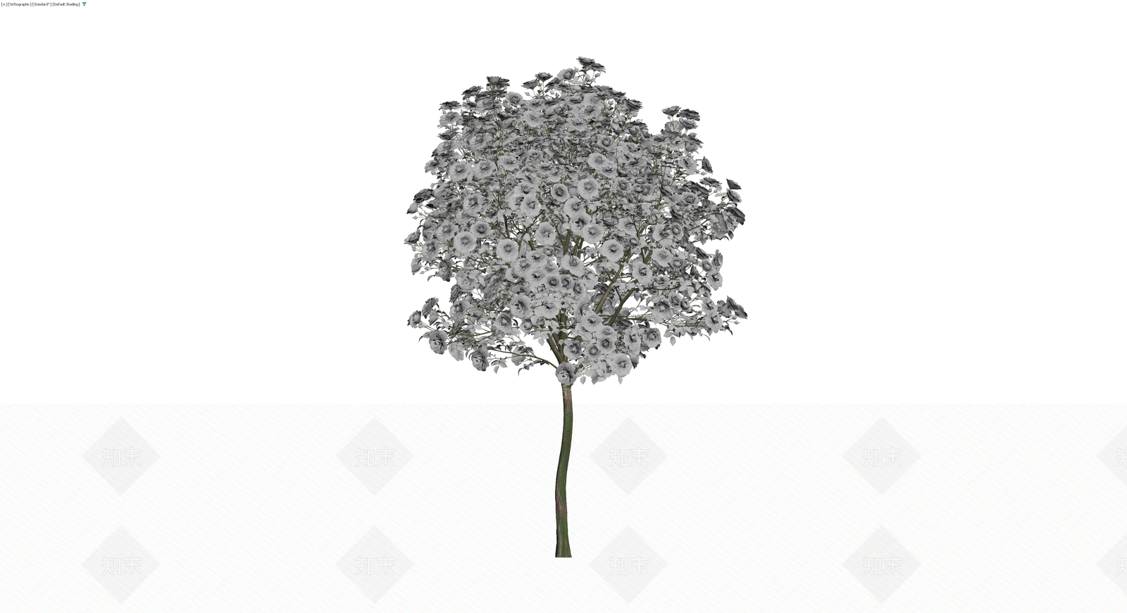 白玫瑰景观乔木模型3D模型下载【ID:1229852295】