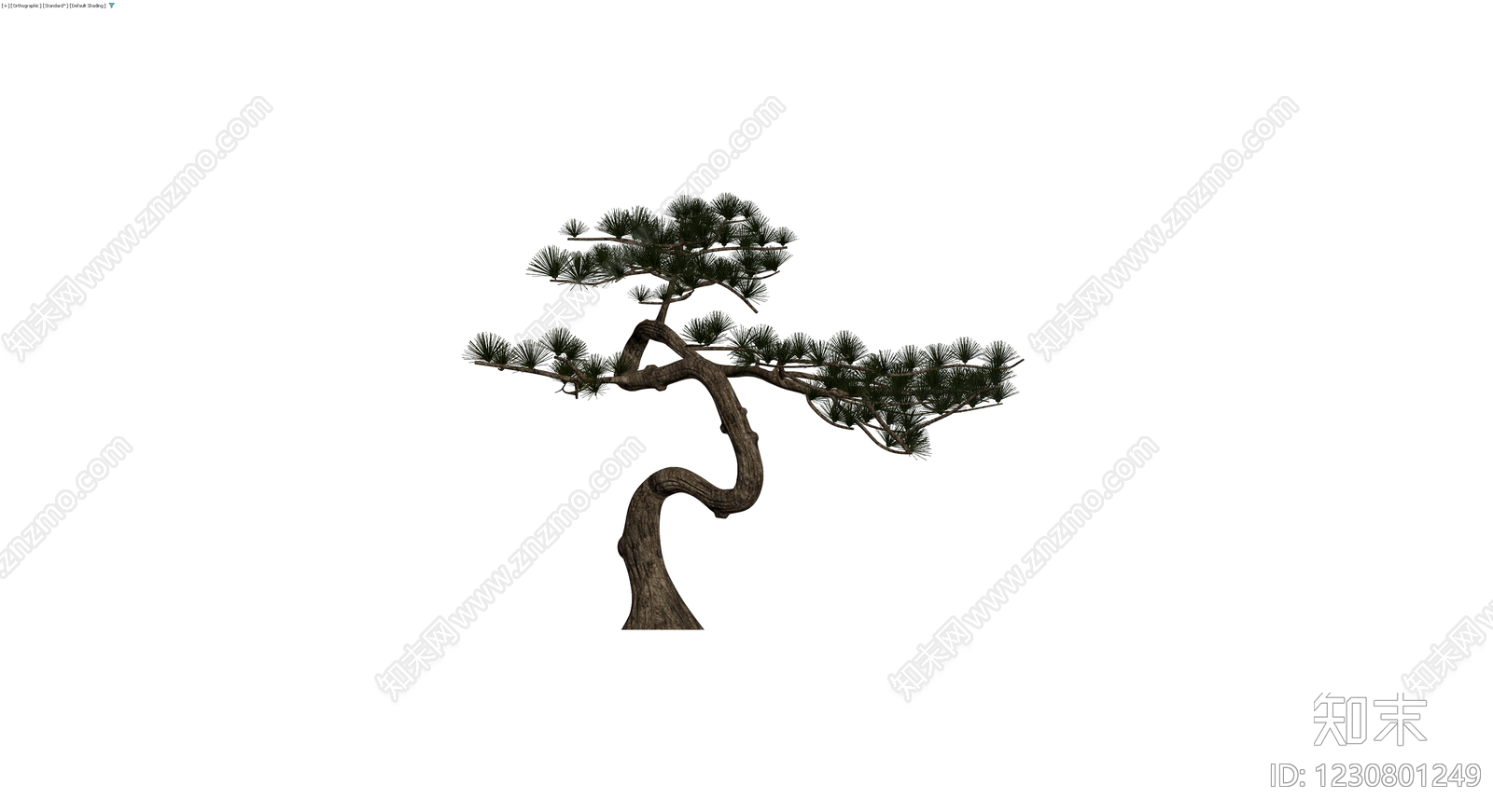 造型松树盆栽模型3D模型下载【ID:1230801249】