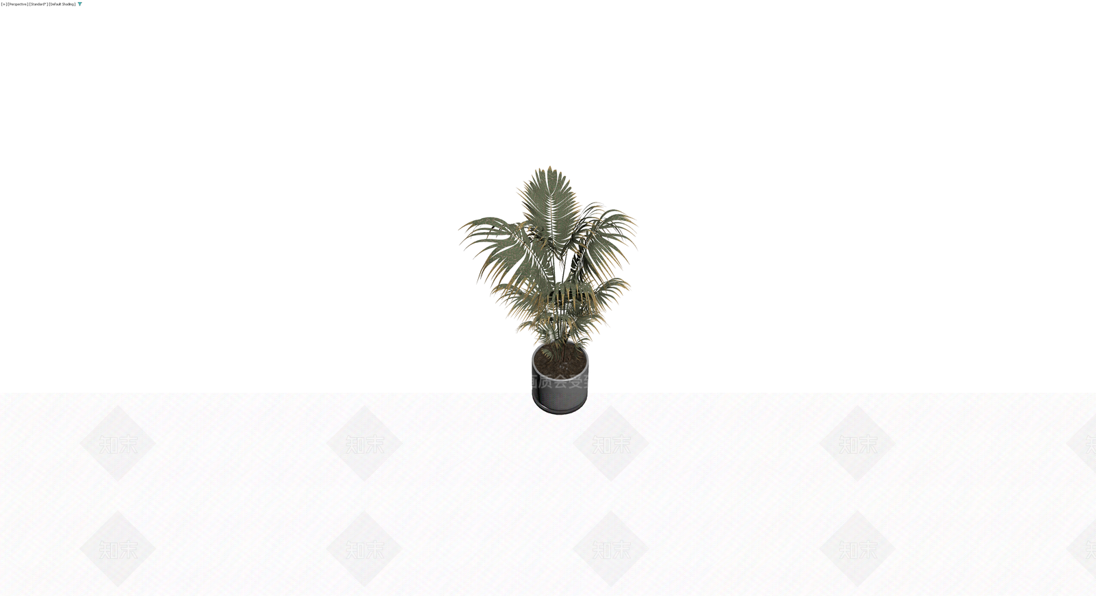 盆栽散尾葵植物3D模型下载【ID:1230706997】