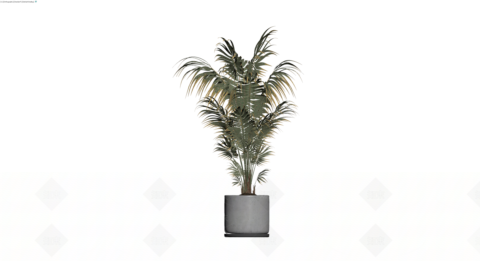 盆栽散尾葵植物3D模型下载【ID:1230706997】