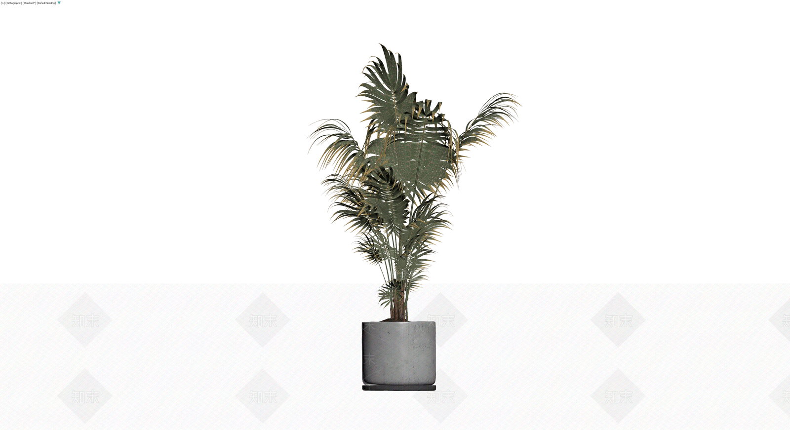 盆栽散尾葵植物3D模型下载【ID:1230706997】