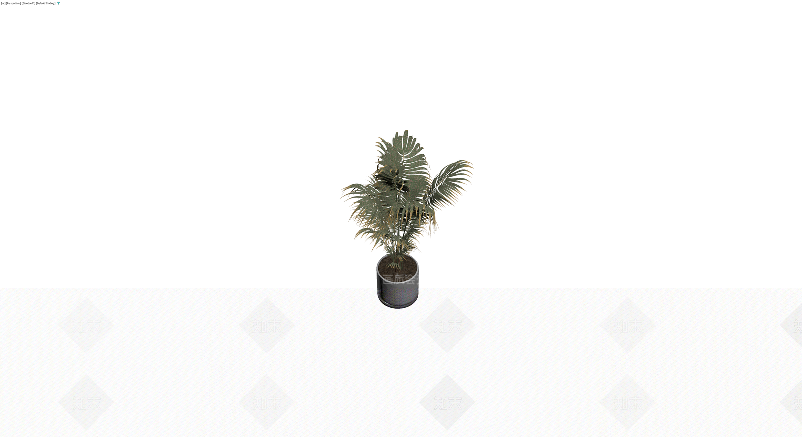 盆栽散尾葵植物3D模型下载【ID:1230706997】