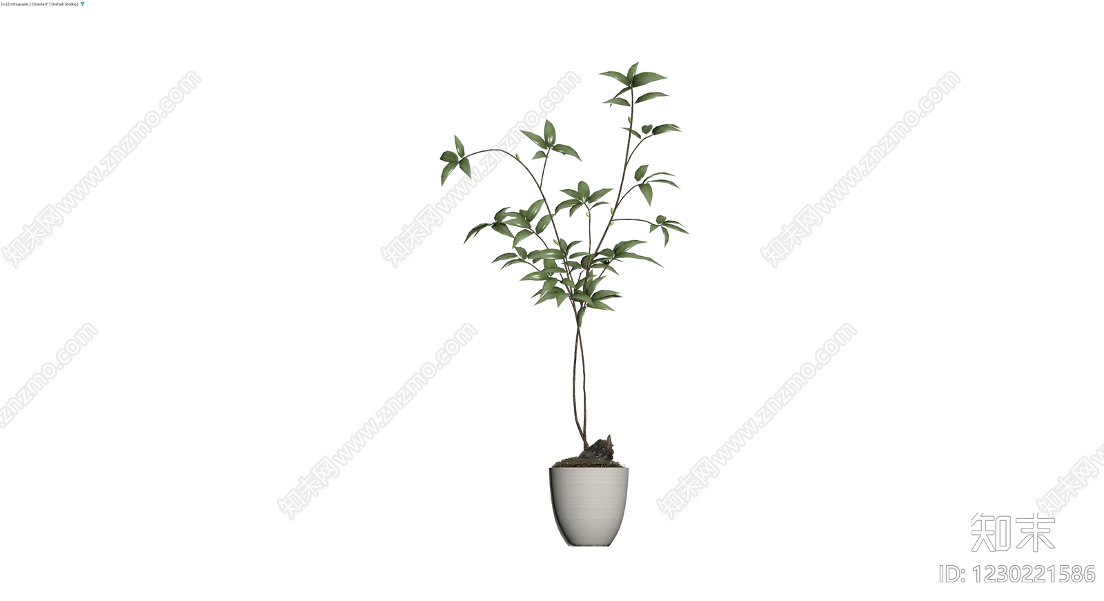 盆栽绿植带盆3D模型下载【ID:1230221586】