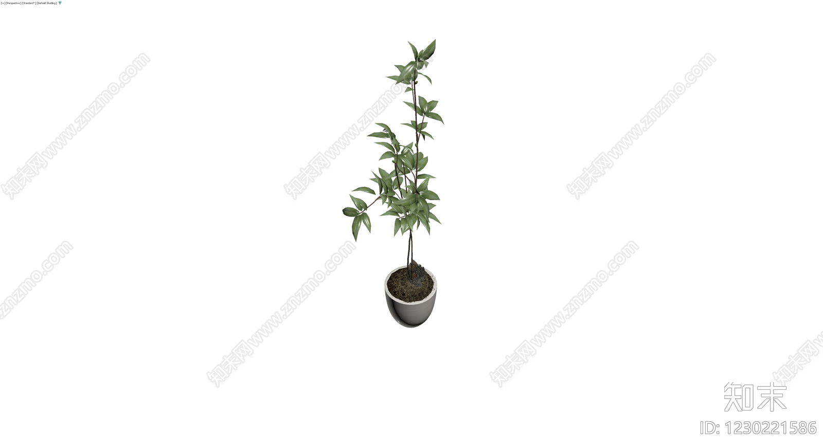 盆栽绿植带盆3D模型下载【ID:1230221586】