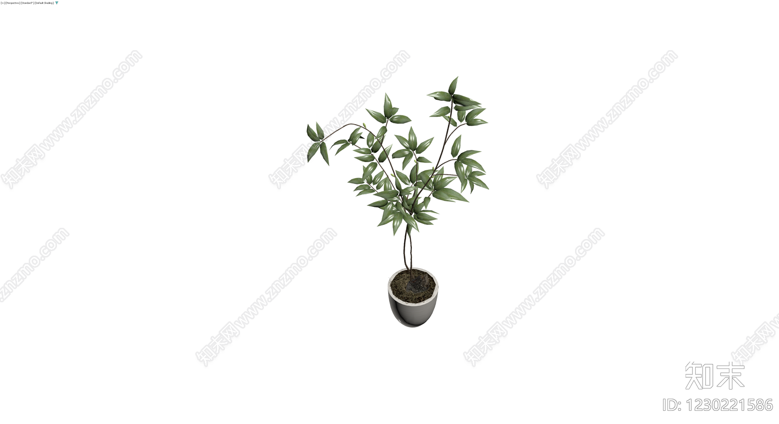 盆栽绿植带盆3D模型下载【ID:1230221586】