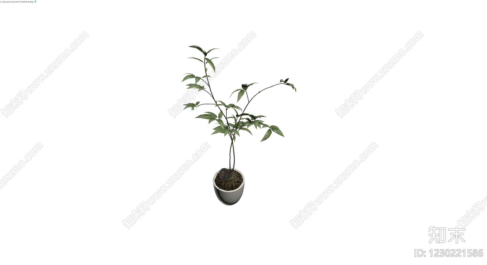 盆栽绿植带盆3D模型下载【ID:1230221586】