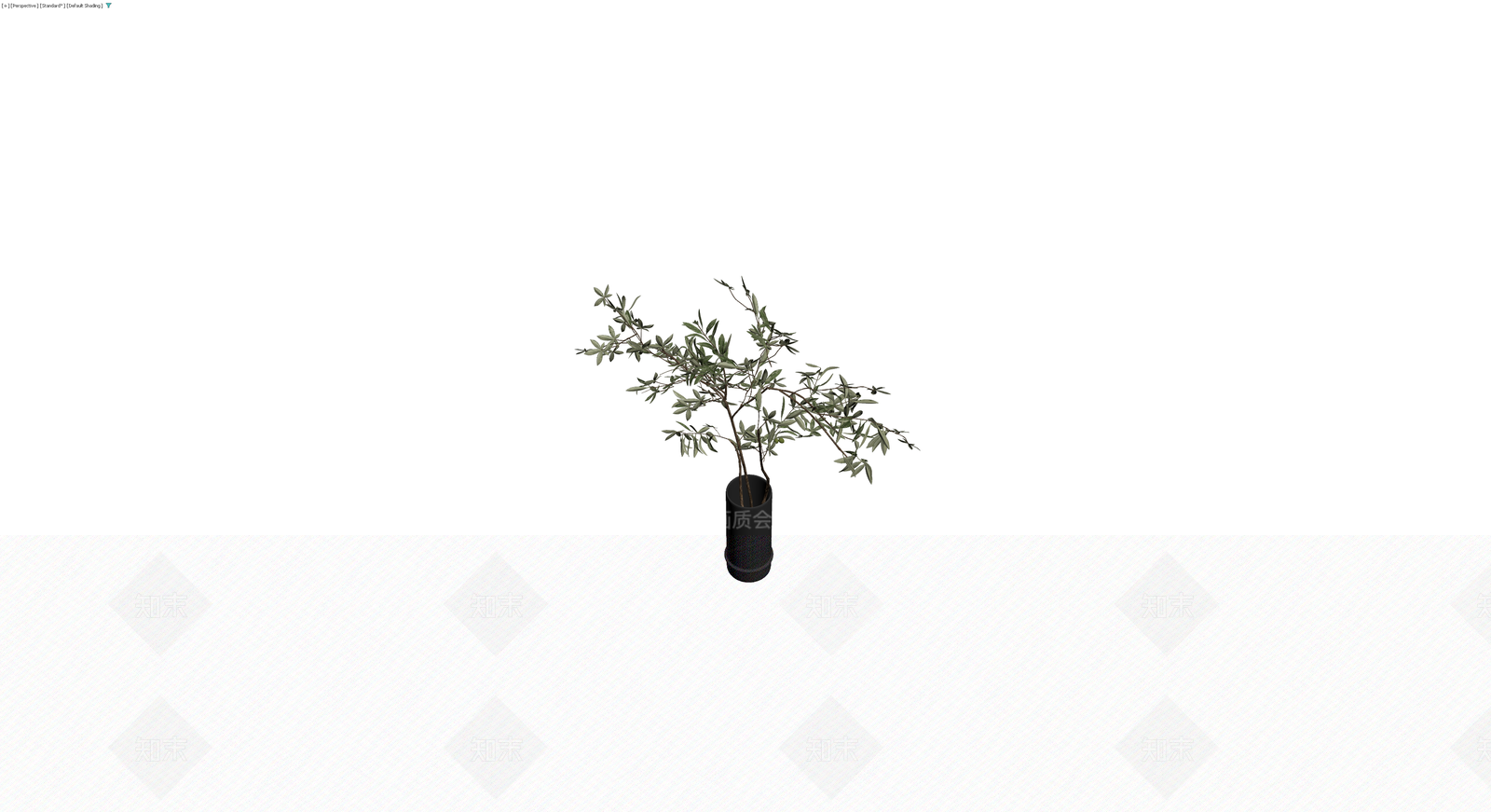 黑色圆柱盆栽植物3D模型下载【ID:1230573342】