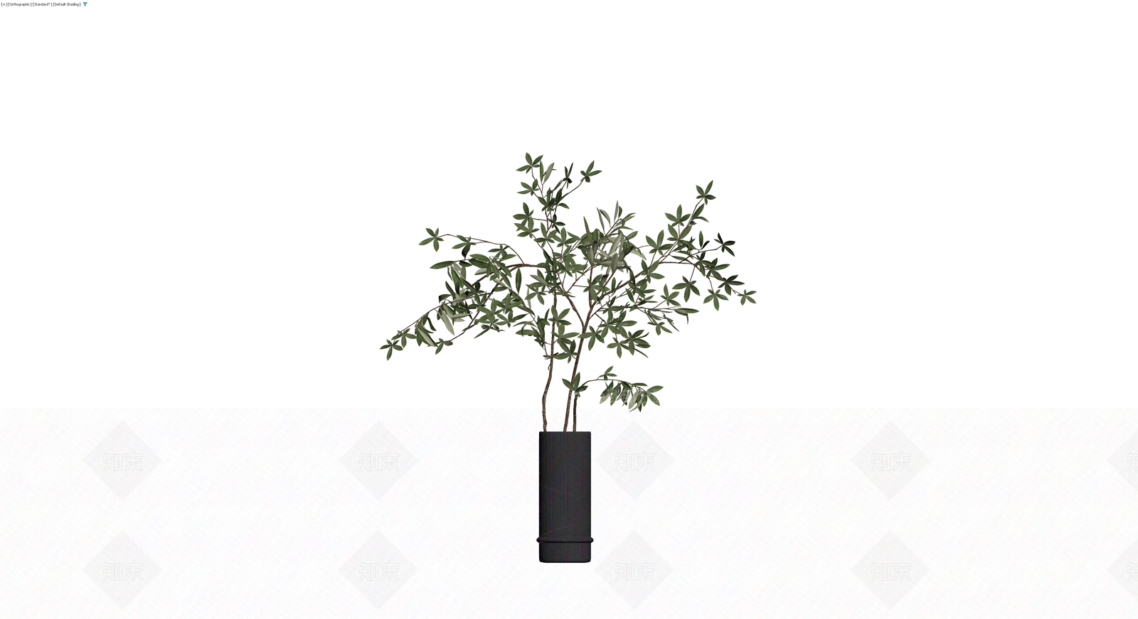 黑色圆柱盆栽植物3D模型下载【ID:1230573342】