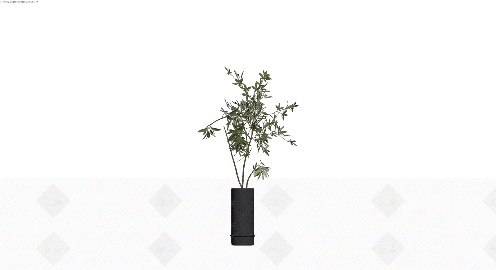 黑色圆柱盆栽植物3D模型下载【ID:1230573342】