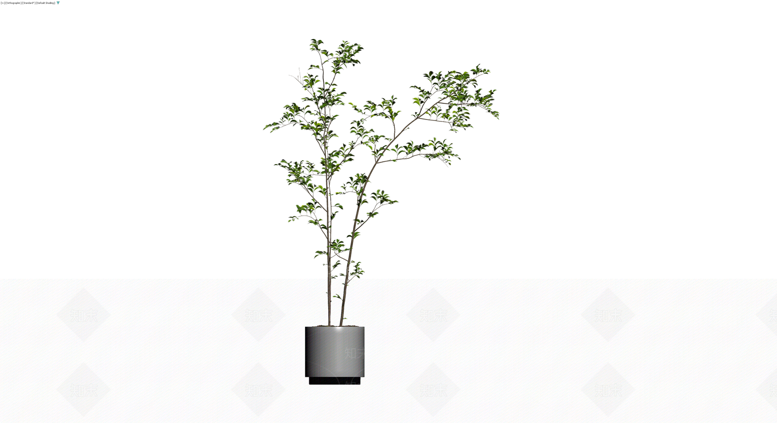 盆栽绿植植物模型3D模型下载【ID:1229847633】