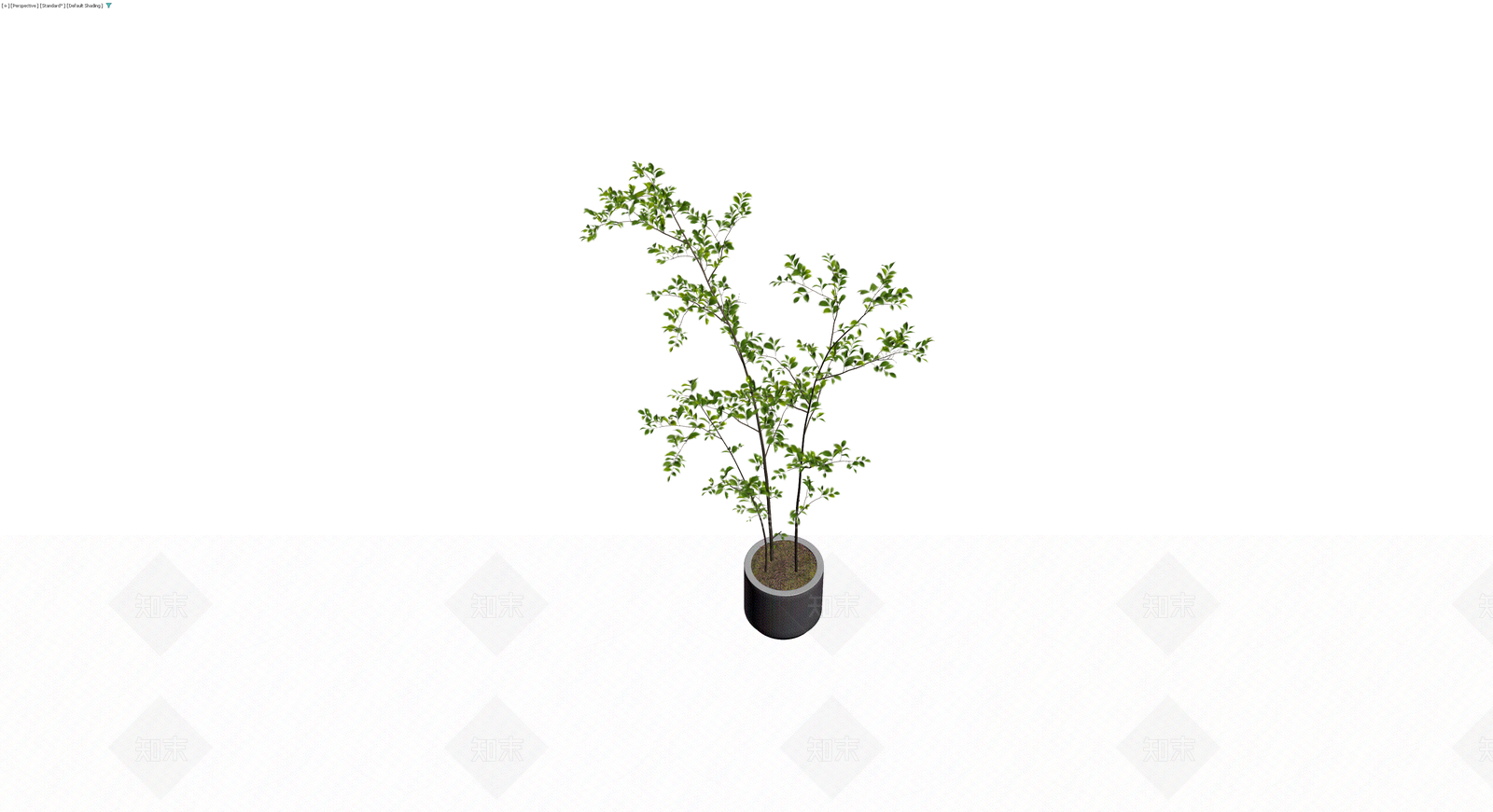 盆栽绿植植物模型3D模型下载【ID:1229847633】