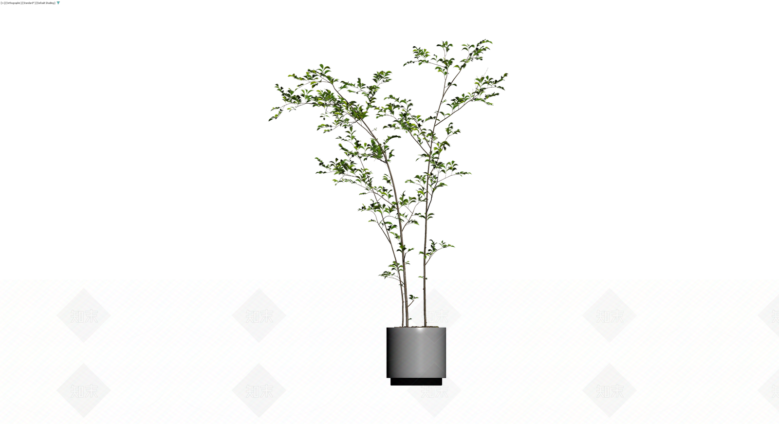 盆栽绿植植物模型3D模型下载【ID:1229847633】