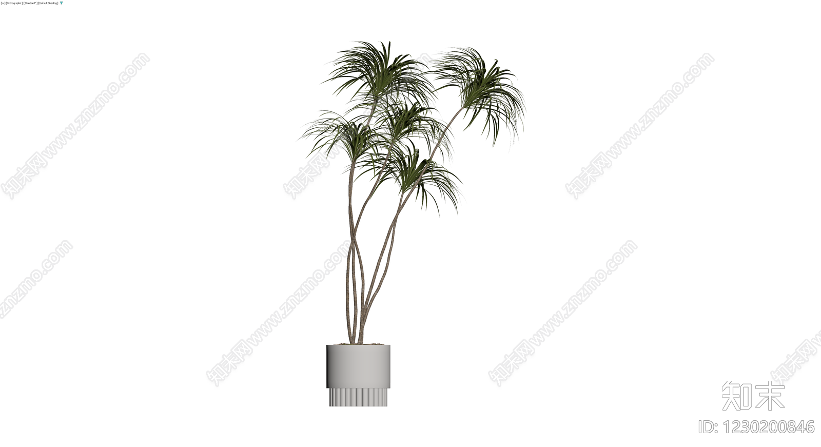 盆栽植物带花盆3D模型下载【ID:1230200846】