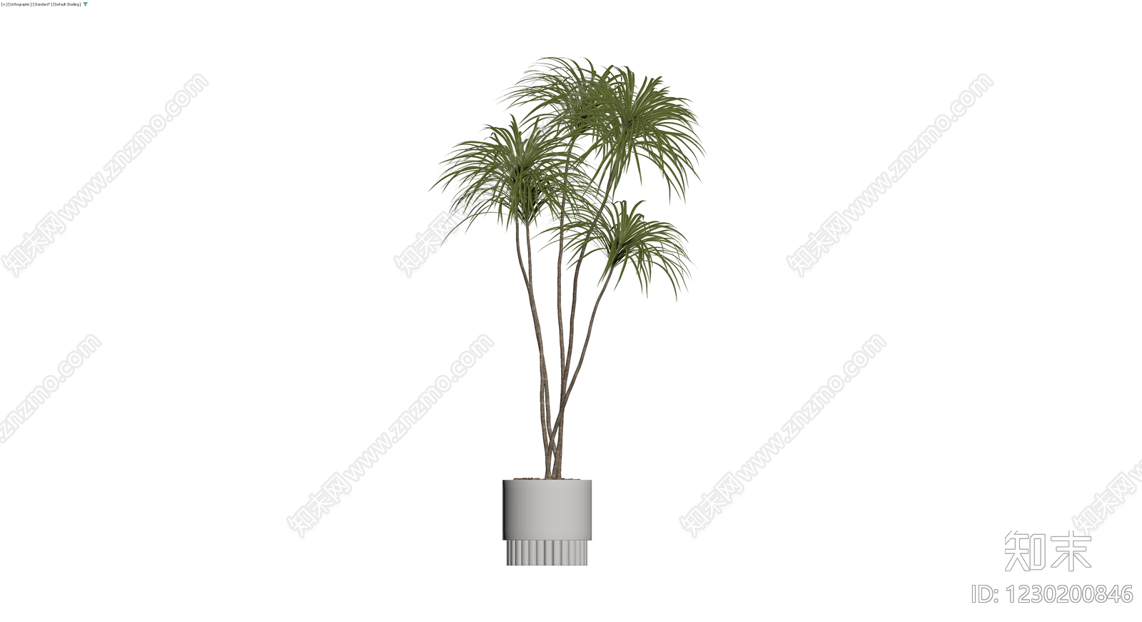 盆栽植物带花盆3D模型下载【ID:1230200846】
