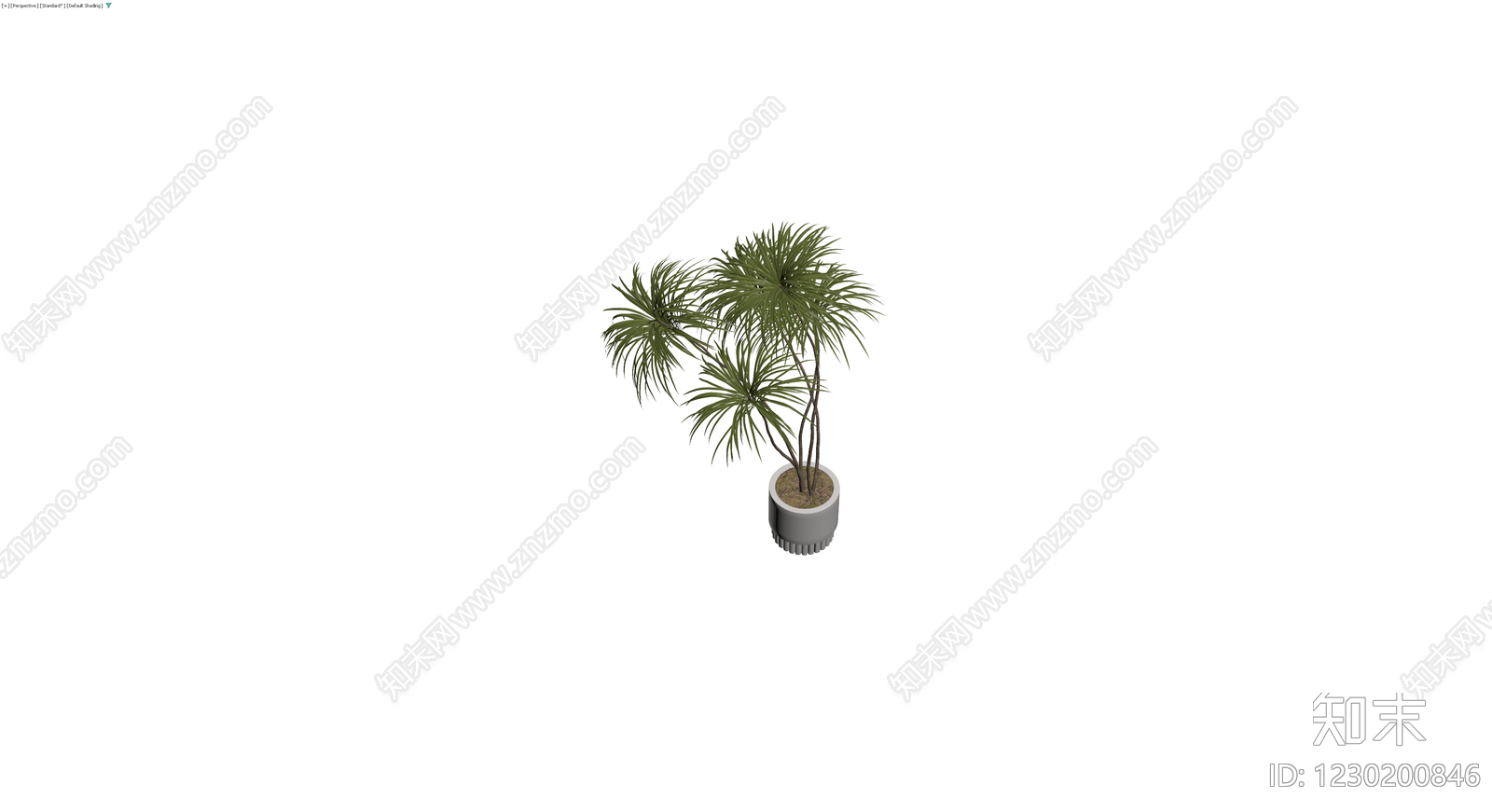 盆栽植物带花盆3D模型下载【ID:1230200846】