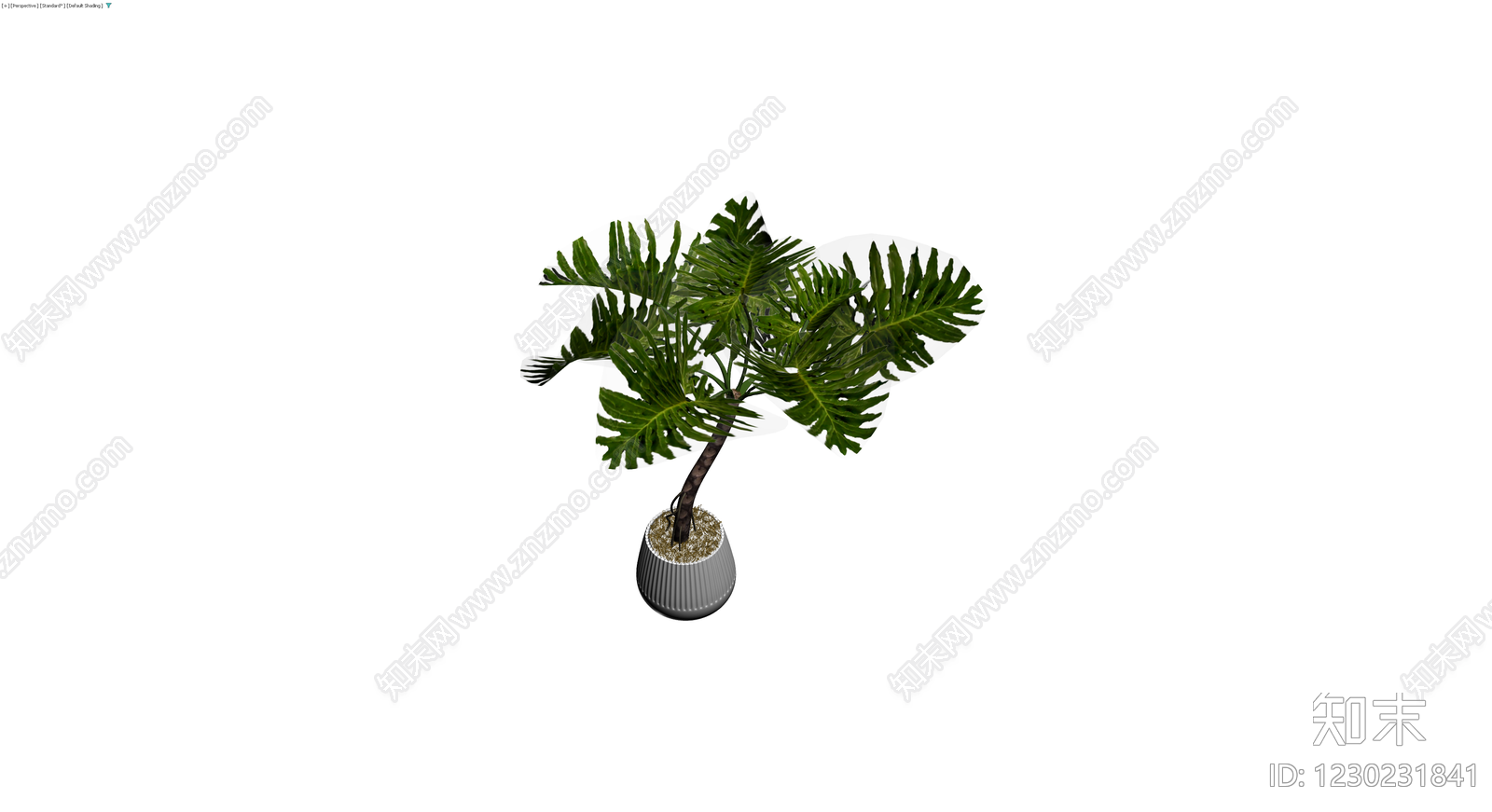 盆栽植物带盆3D模型下载【ID:1230231841】