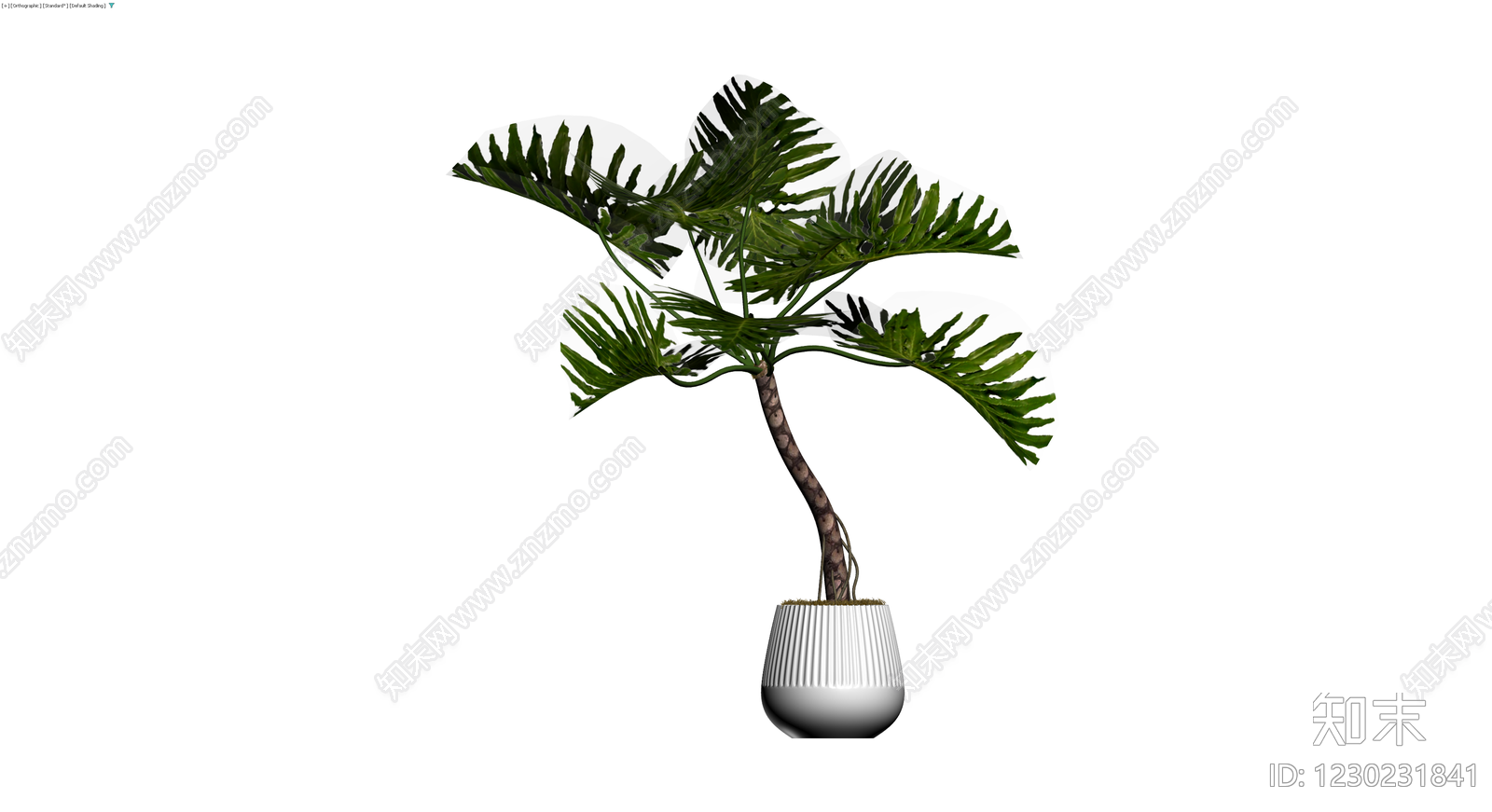 盆栽植物带盆3D模型下载【ID:1230231841】
