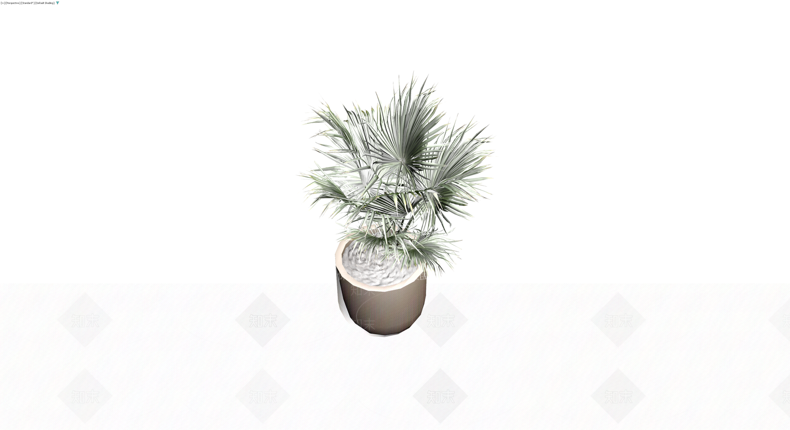 盆栽银叶棕榈植物3D模型下载【ID:1230162143】