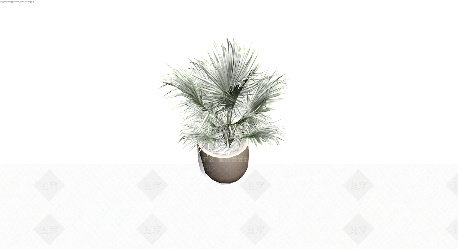 盆栽银叶棕榈植物3D模型下载【ID:1230162143】