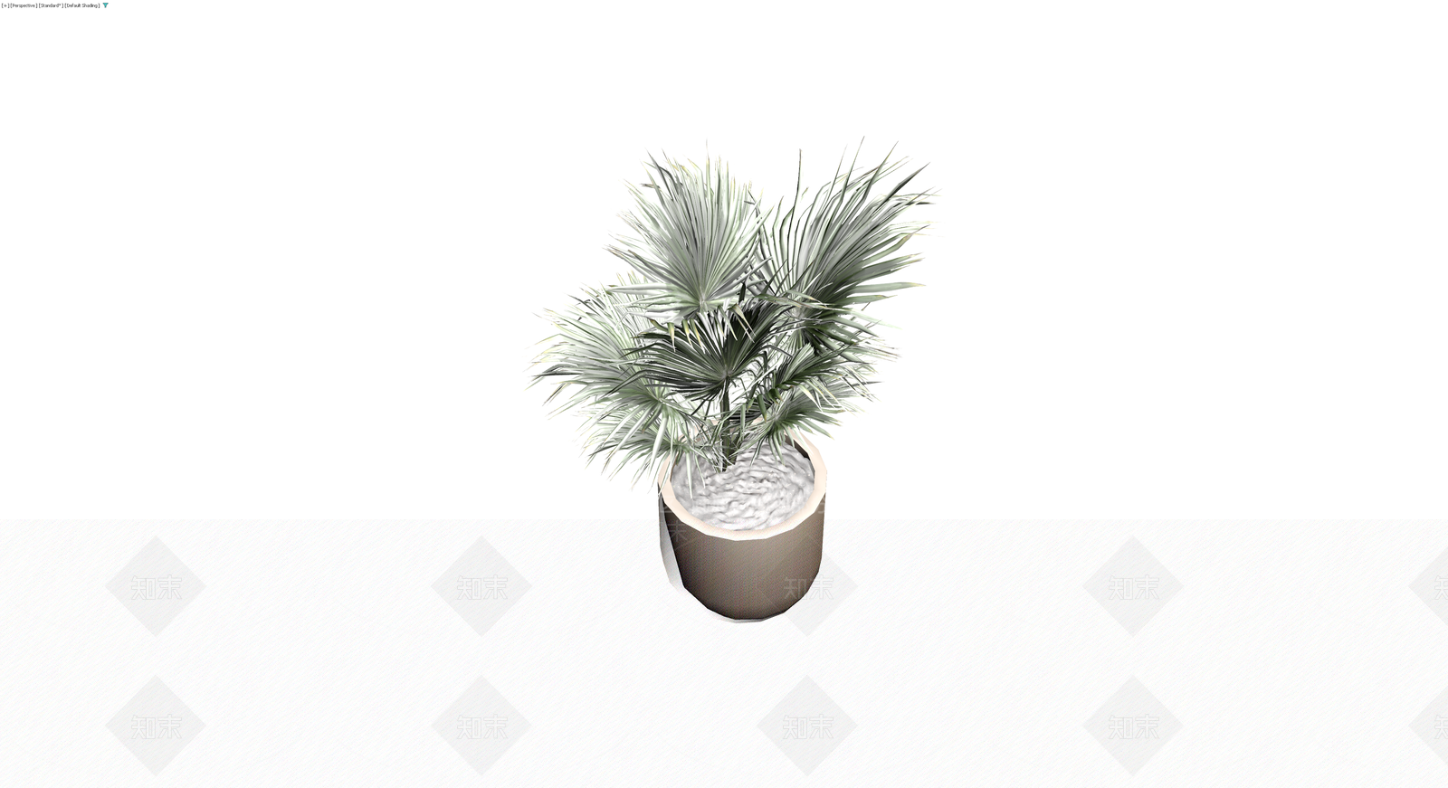 盆栽银叶棕榈植物3D模型下载【ID:1230162143】