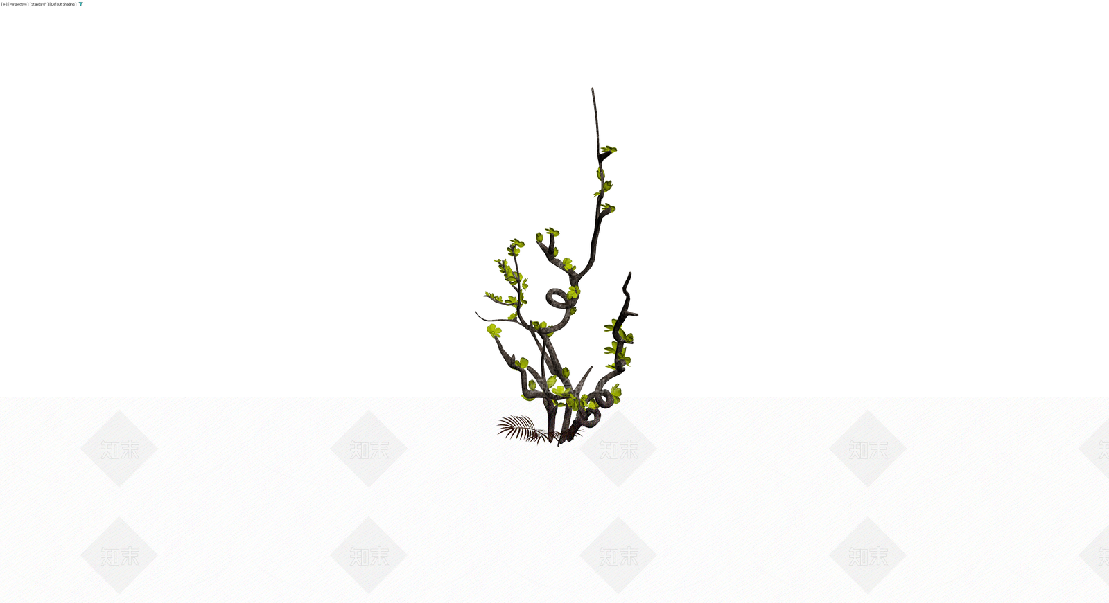 带叶枯枝植物模型3D模型下载【ID:1230407524】