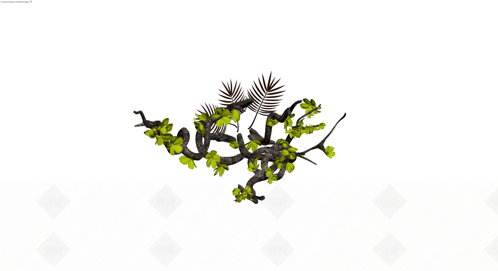 带叶枯枝植物模型3D模型下载【ID:1230407524】
