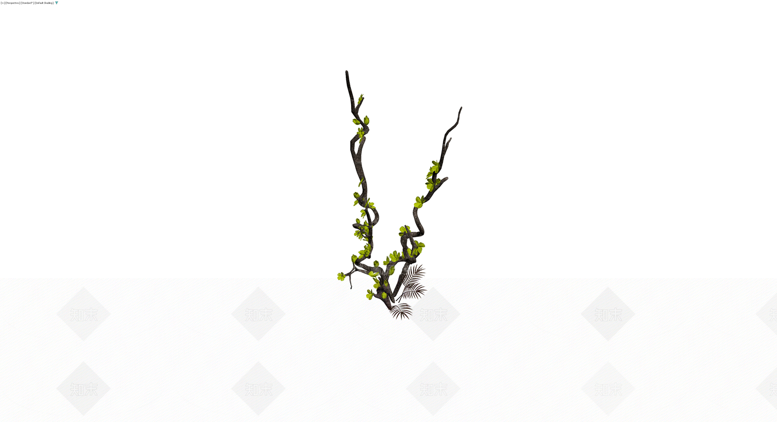 带叶枯枝植物模型3D模型下载【ID:1230407524】