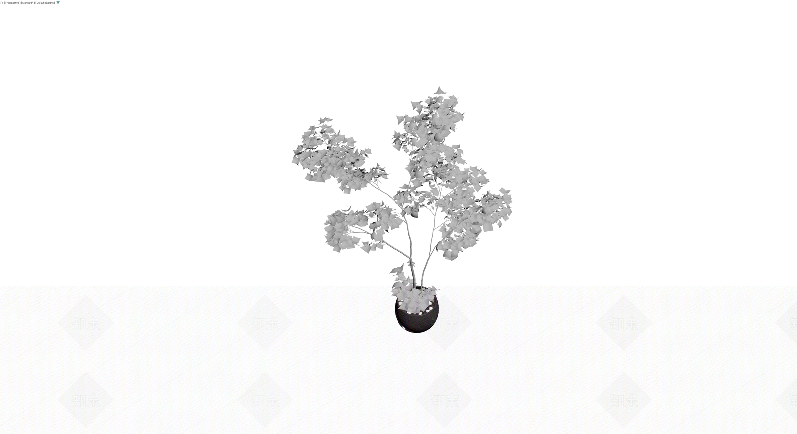 灰模盆栽植物模型3D模型下载【ID:1230357515】