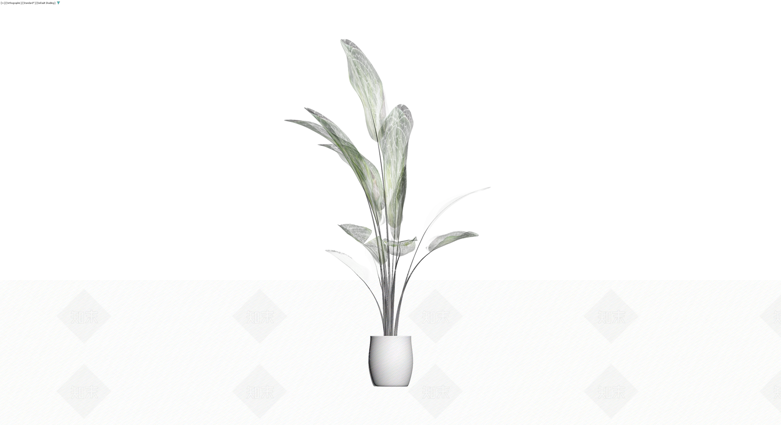 银脉爵床盆栽3D模型下载【ID:1230585634】
