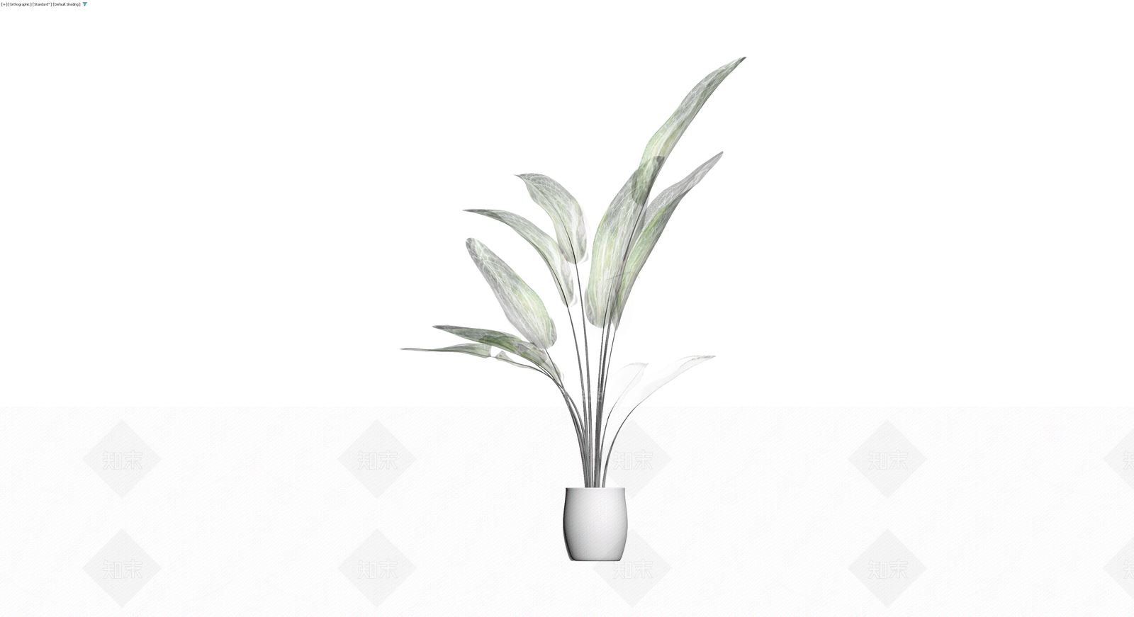 银脉爵床盆栽3D模型下载【ID:1230585634】