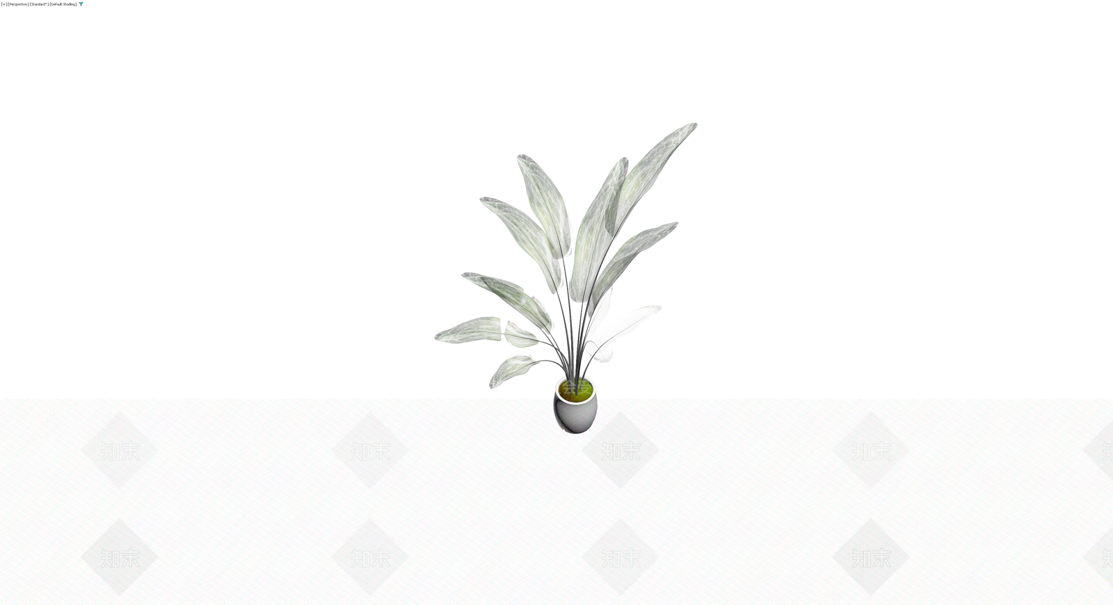 银脉爵床盆栽3D模型下载【ID:1230585634】