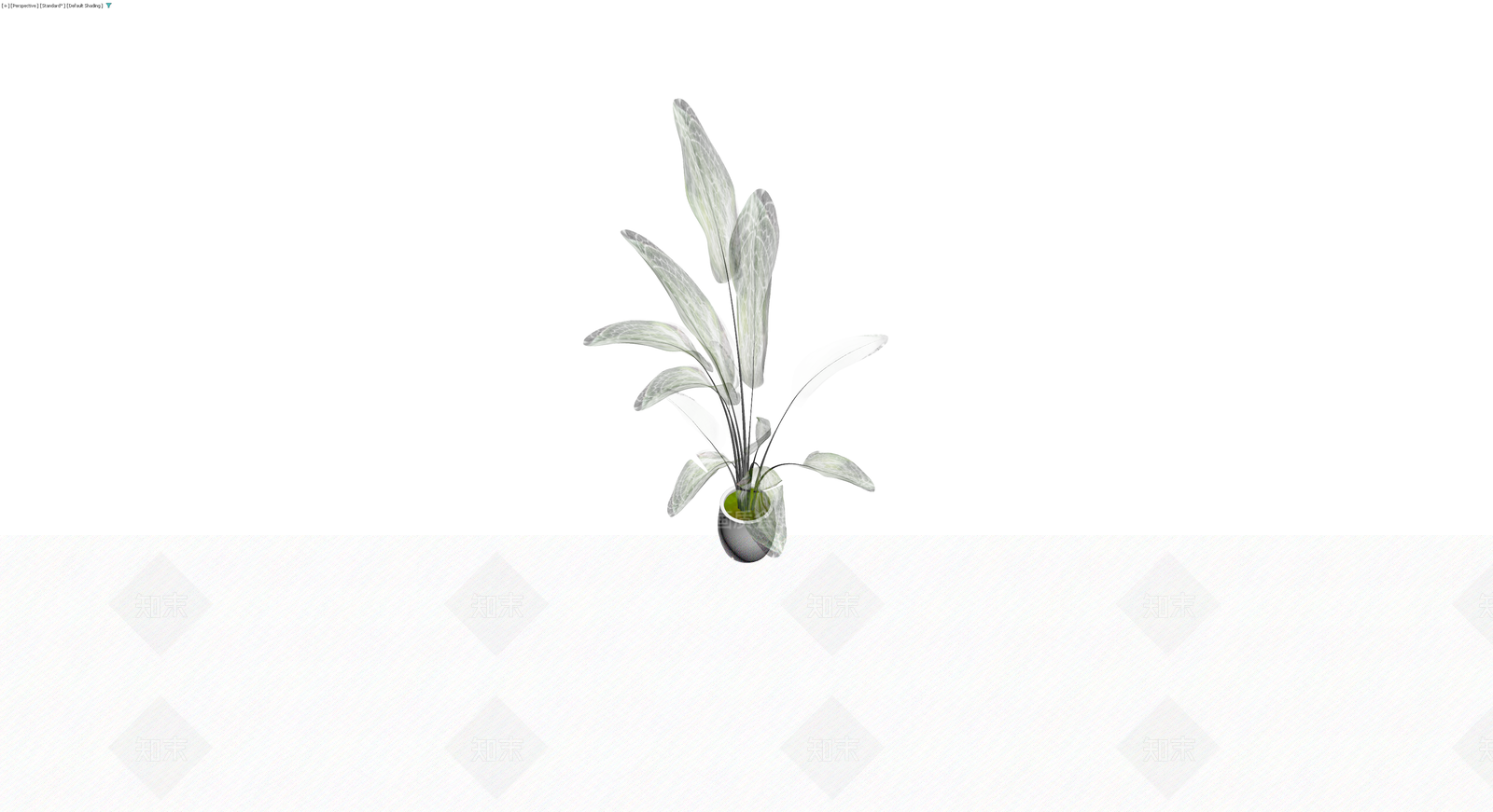 银脉爵床盆栽3D模型下载【ID:1230585634】