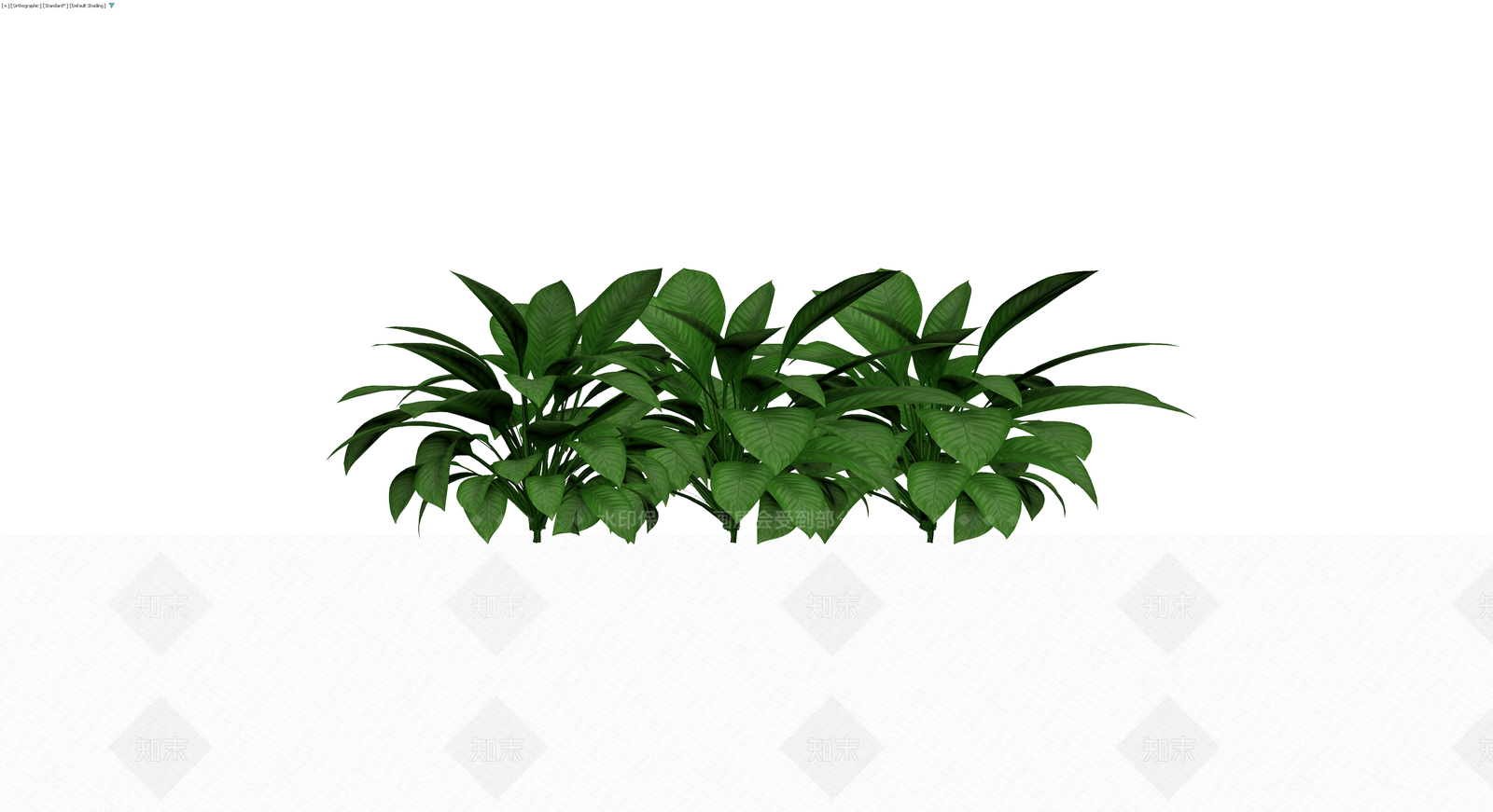 丛生绿色观叶植物3D模型下载【ID:1230143261】
