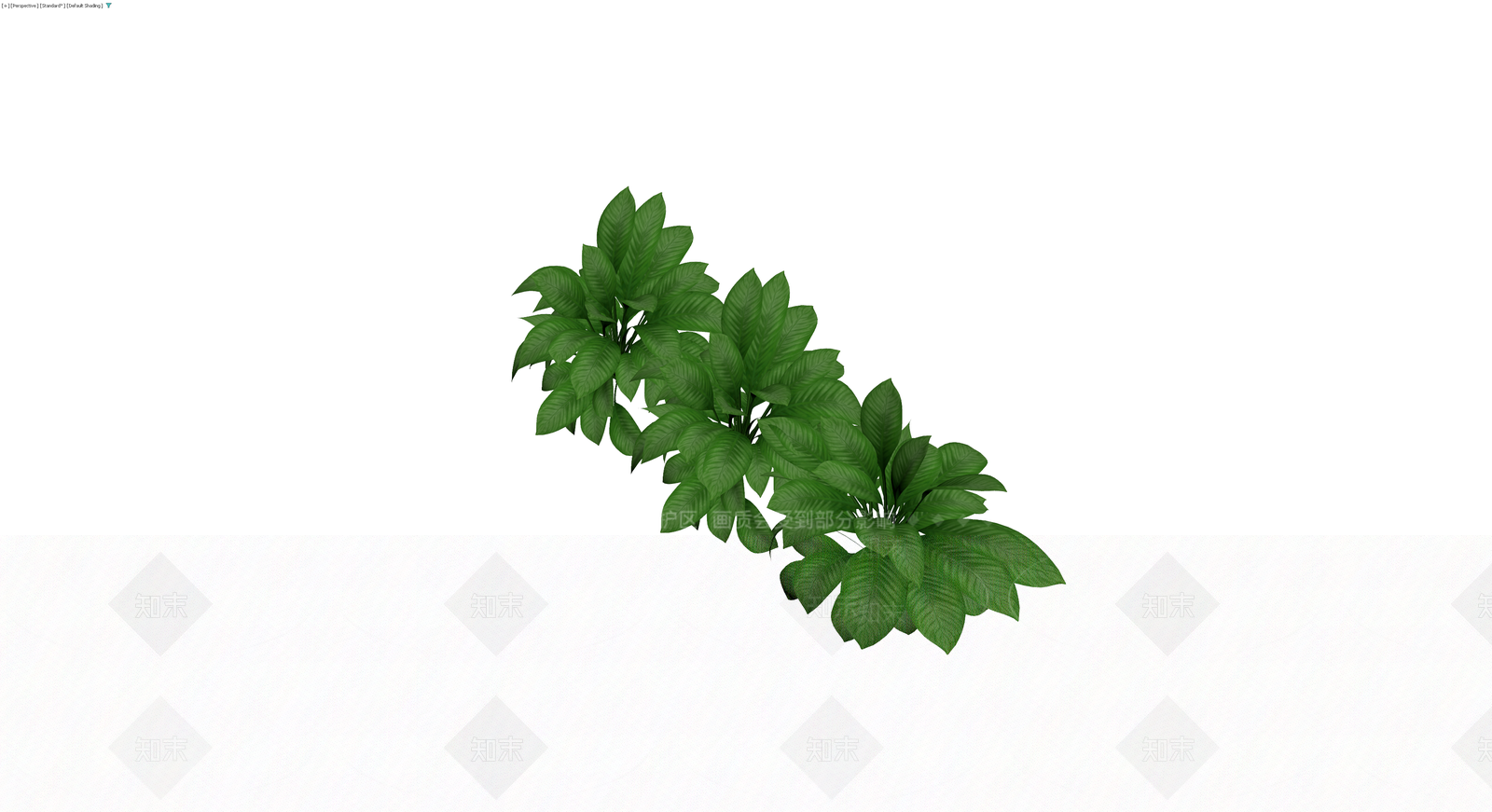 丛生绿色观叶植物3D模型下载【ID:1230143261】