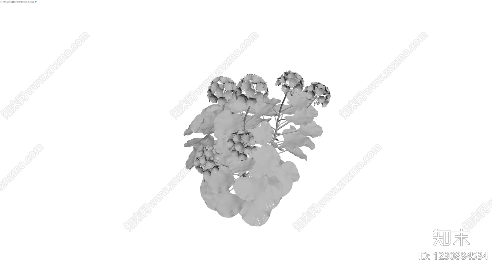 绣球花植物模型3D模型下载【ID:1230884534】
