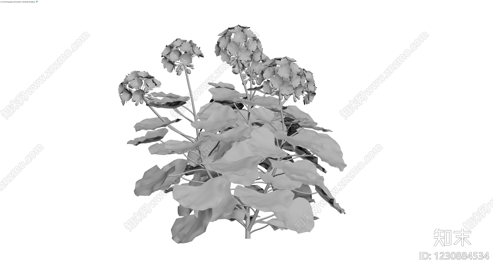 绣球花植物模型3D模型下载【ID:1230884534】
