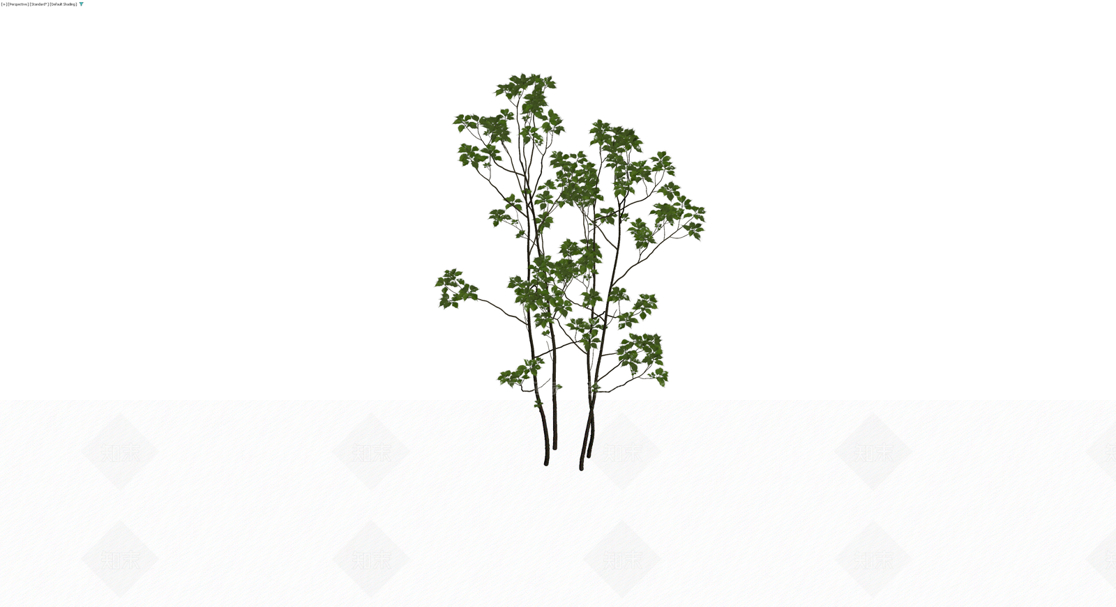 丛生灌木植物模型3D模型下载【ID:1229644655】
