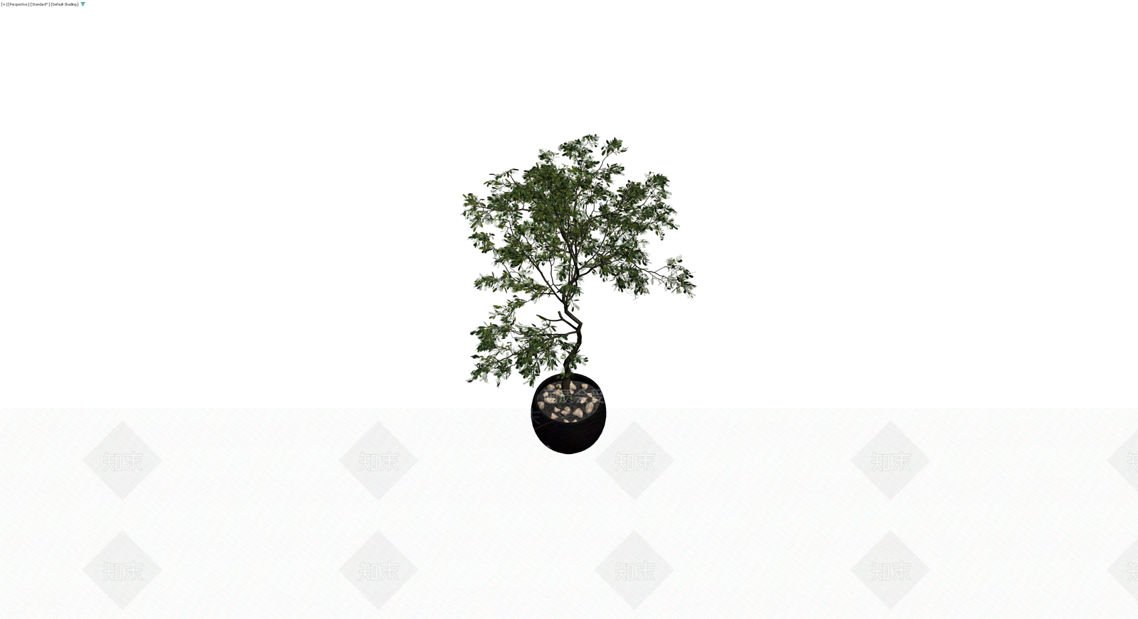 黑色盆栽绿植模型3D模型下载【ID:1229984856】