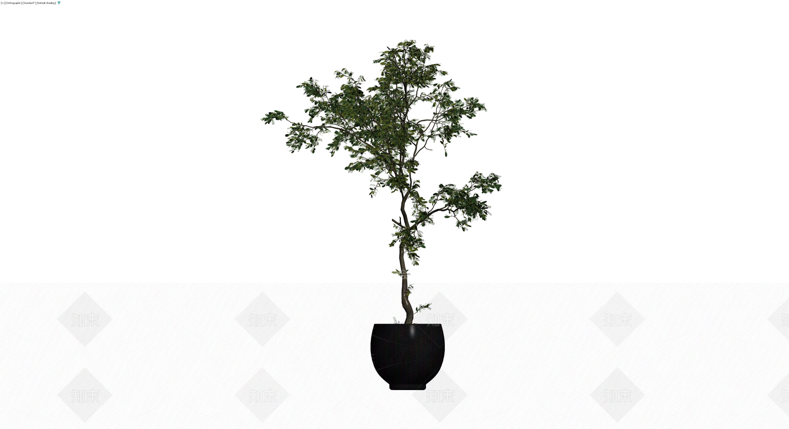 黑色盆栽绿植模型3D模型下载【ID:1229984856】