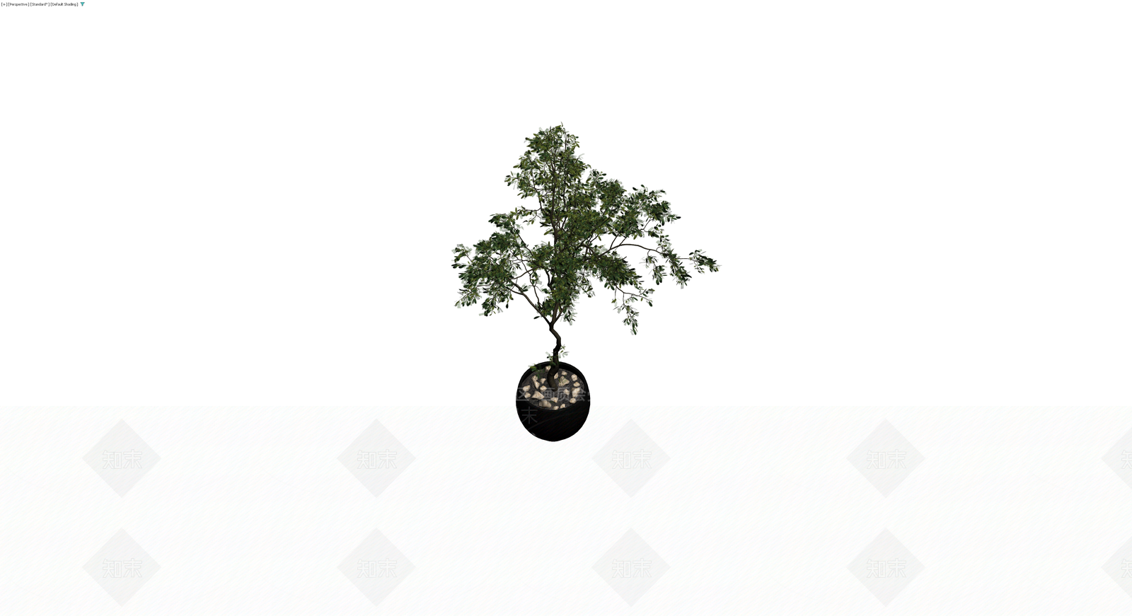 黑色盆栽绿植模型3D模型下载【ID:1229984856】