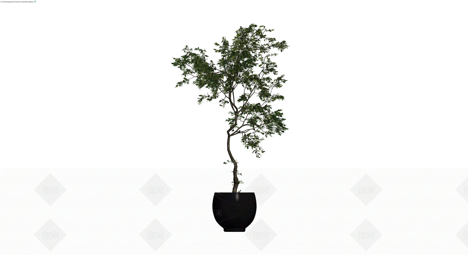 黑色盆栽绿植模型3D模型下载【ID:1229984856】
