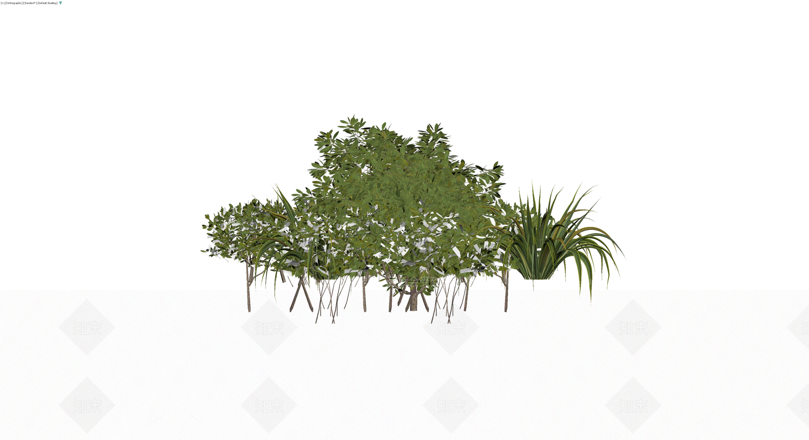 灌木与草本植物组合3D模型下载【ID:1229633487】