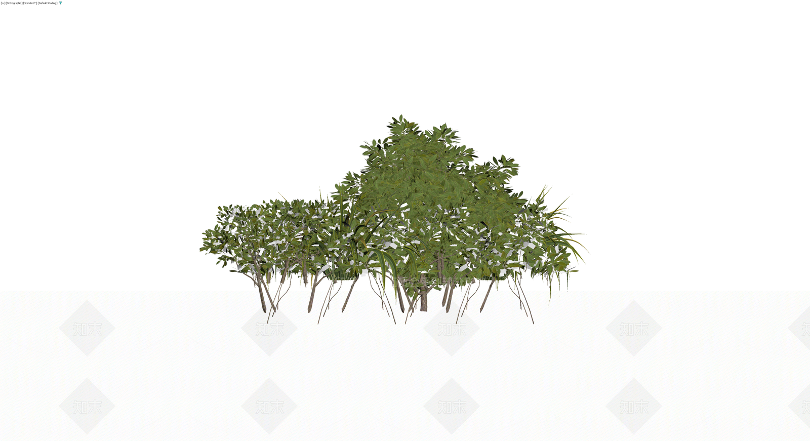 灌木与草本植物组合3D模型下载【ID:1229633487】