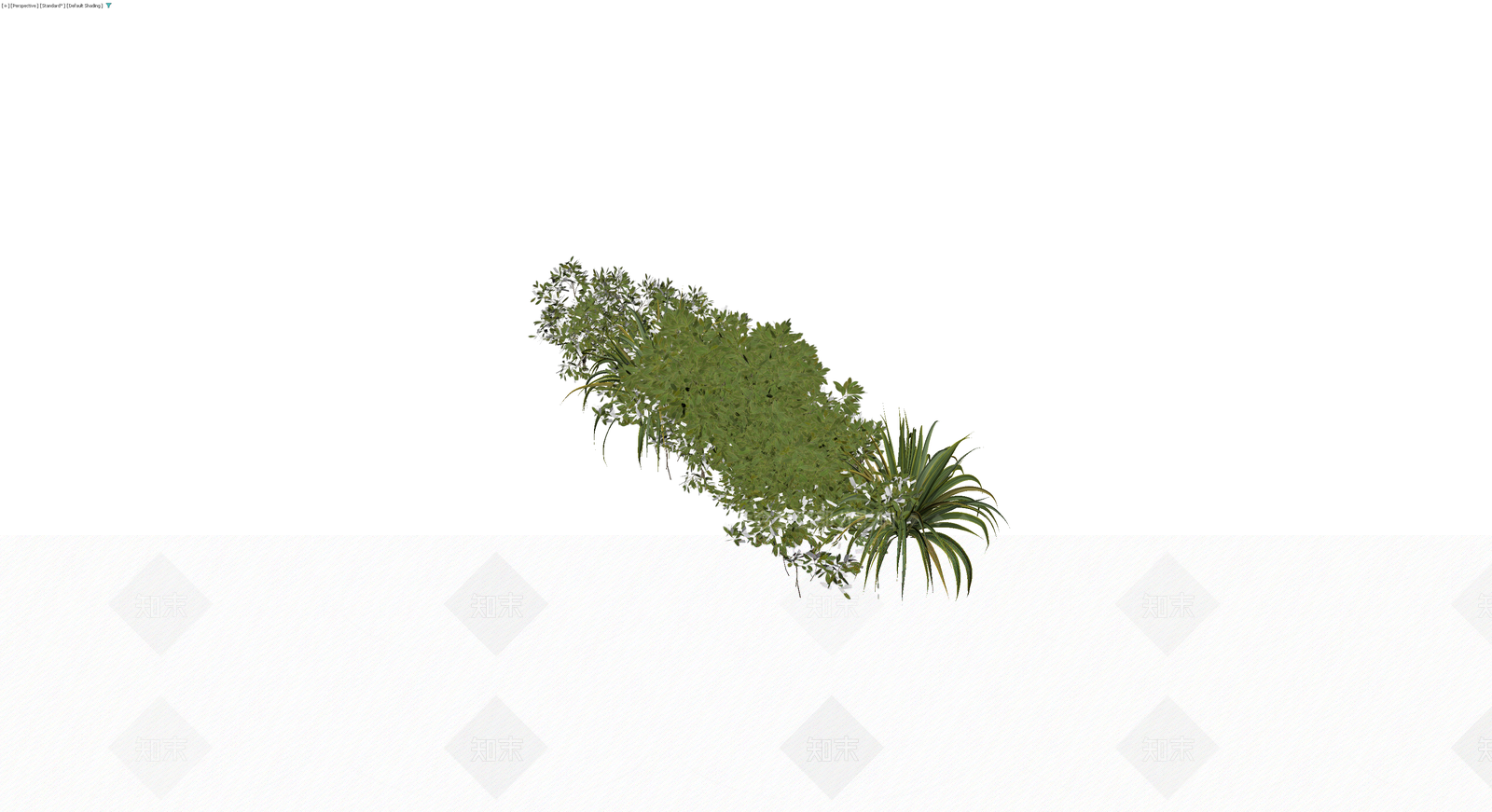 灌木与草本植物组合3D模型下载【ID:1229633487】
