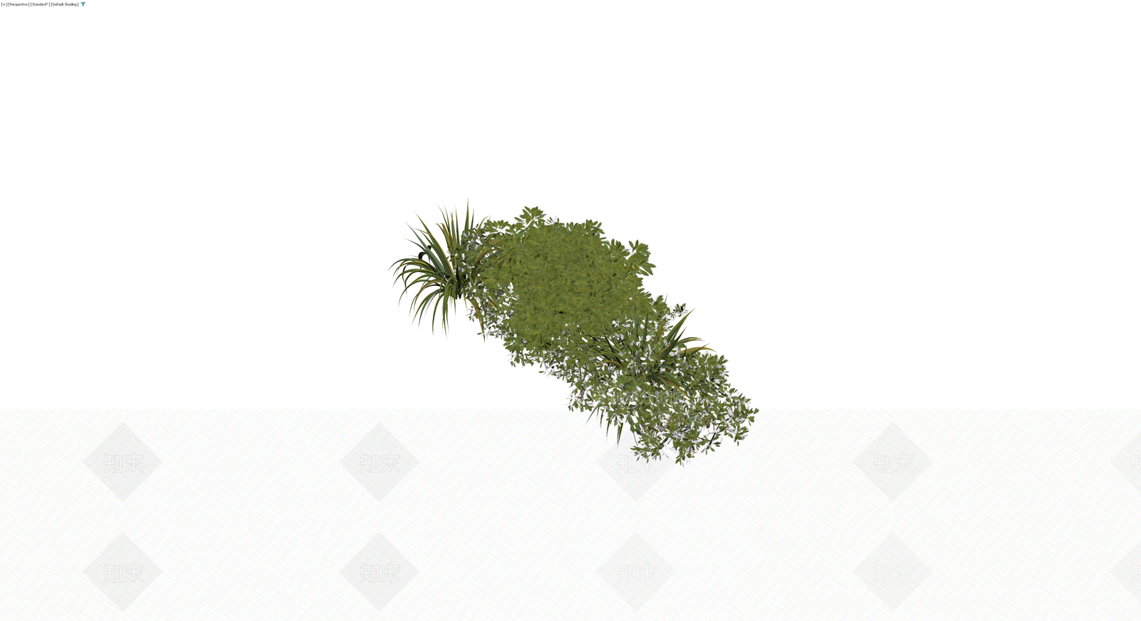 灌木与草本植物组合3D模型下载【ID:1229633487】